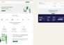 develop a professional HTML static website or landing page